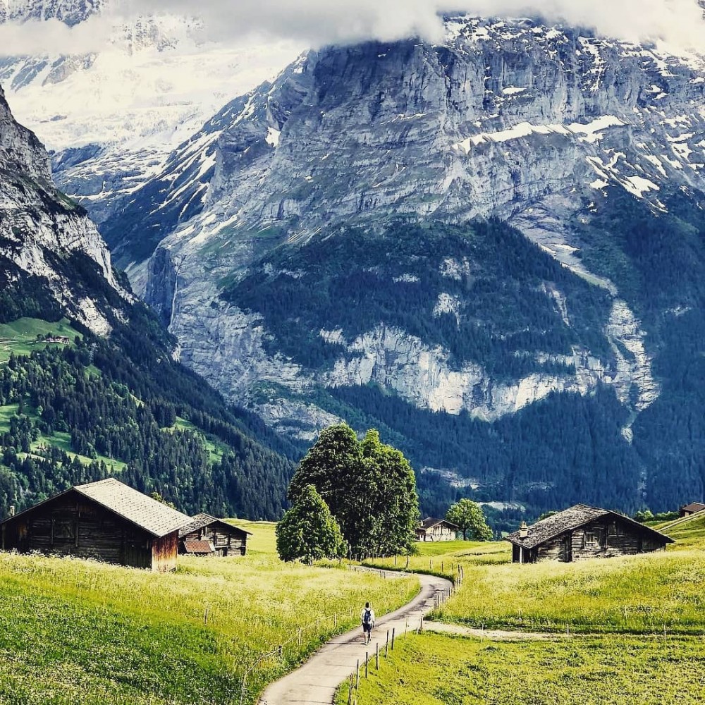 Grindelwaldfirst's Instagram