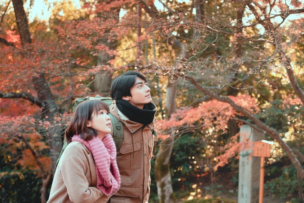 現代愛情為何成為一場孤獨的旅程?難道孑然一身才是成長的象徵?