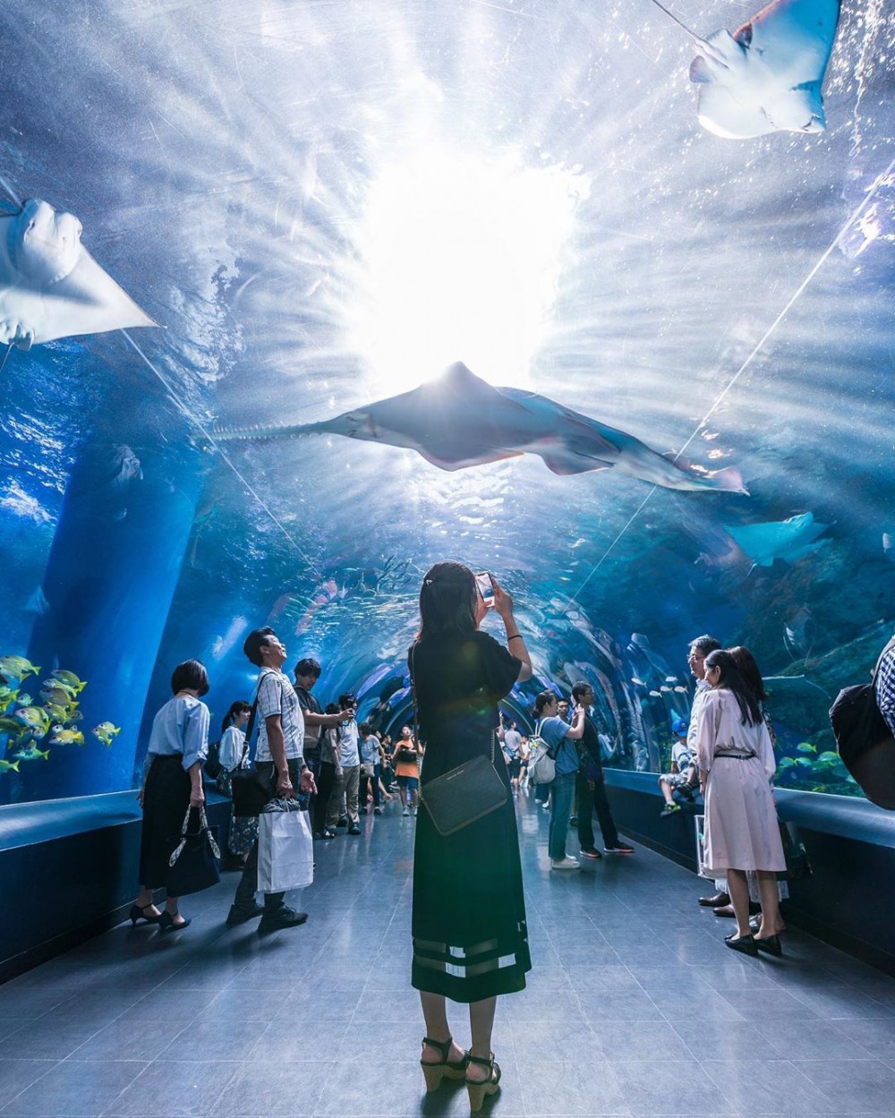 台灣全新Xpark 八景島1