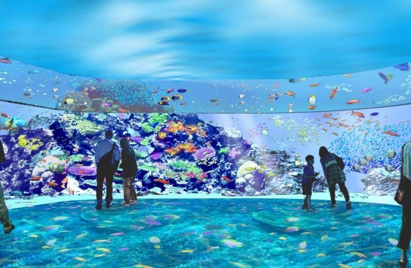 台灣全新Xpark 八景島5