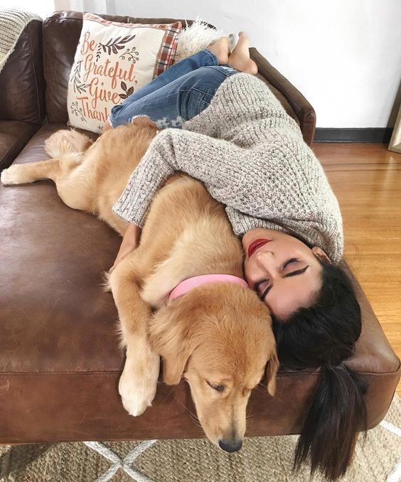 你適合養什麼狗呢