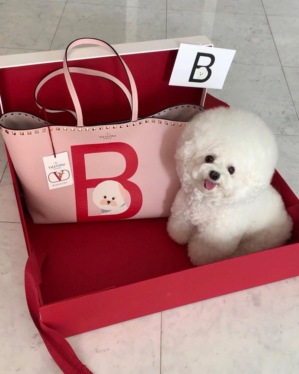 Valentino Garavani Rockstud Pet線上企劃 獨家訂製專屬愛犬袋002