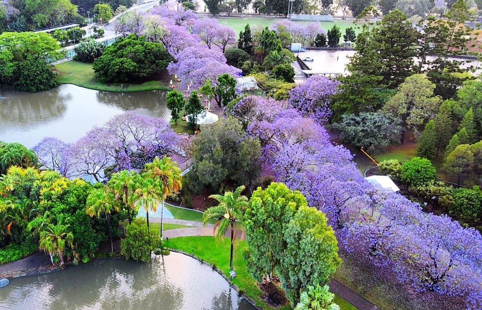 IG @ my_brisbane_views