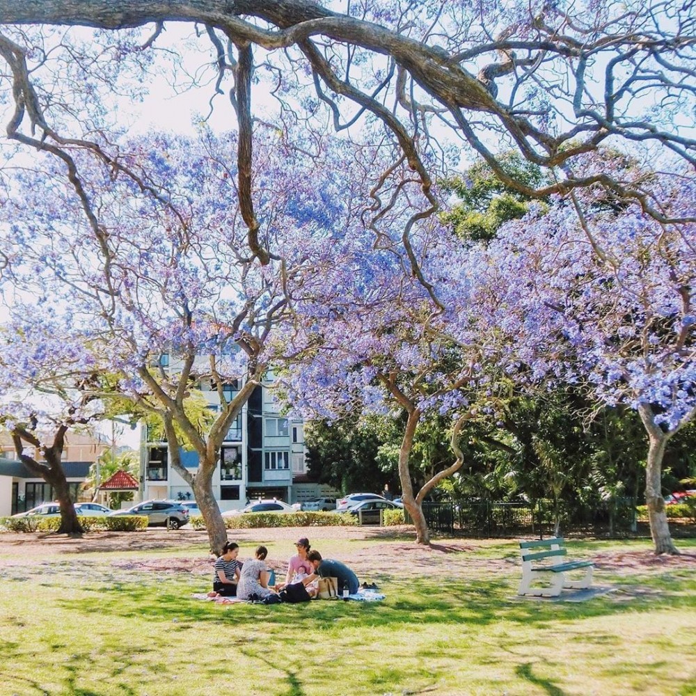 IG @ brisbanecitycouncil