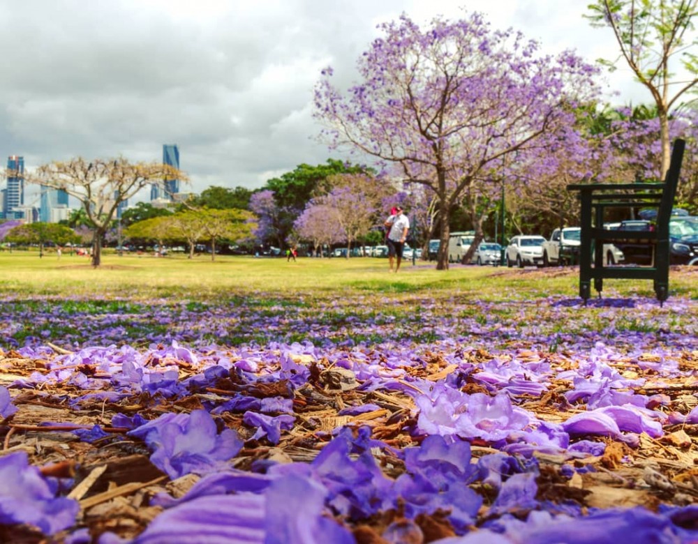 IG @ michaelmartinsphotos 