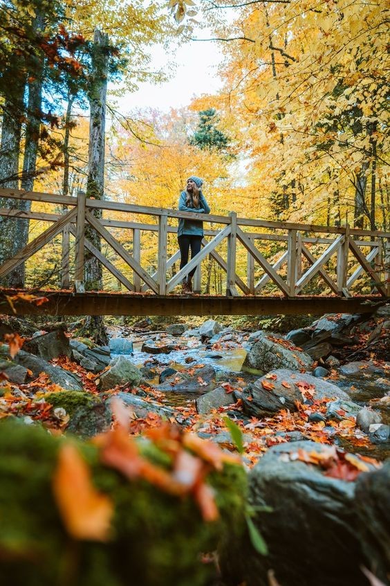 愛情麵包心理測驗