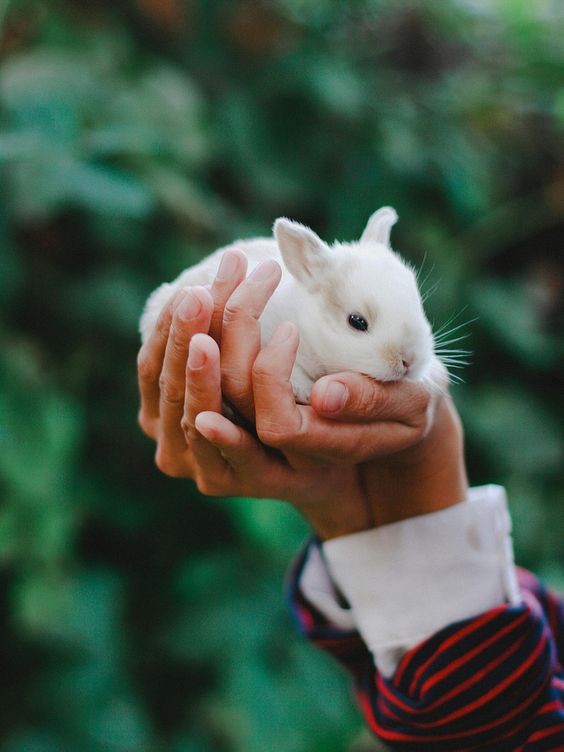 愛情麵包心理測驗