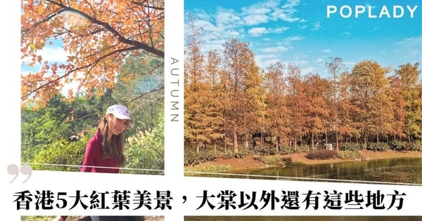【香港紅葉2020】5大紅葉打卡美景，大棠以外還有這些地方！（附路線及交通詳情）