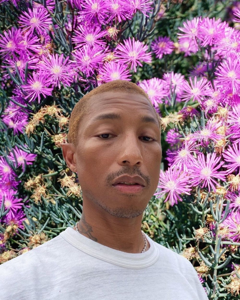 Instagram @pharrell