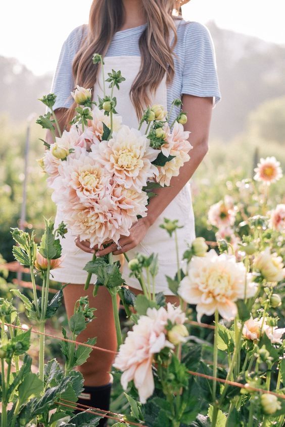 Pinterest