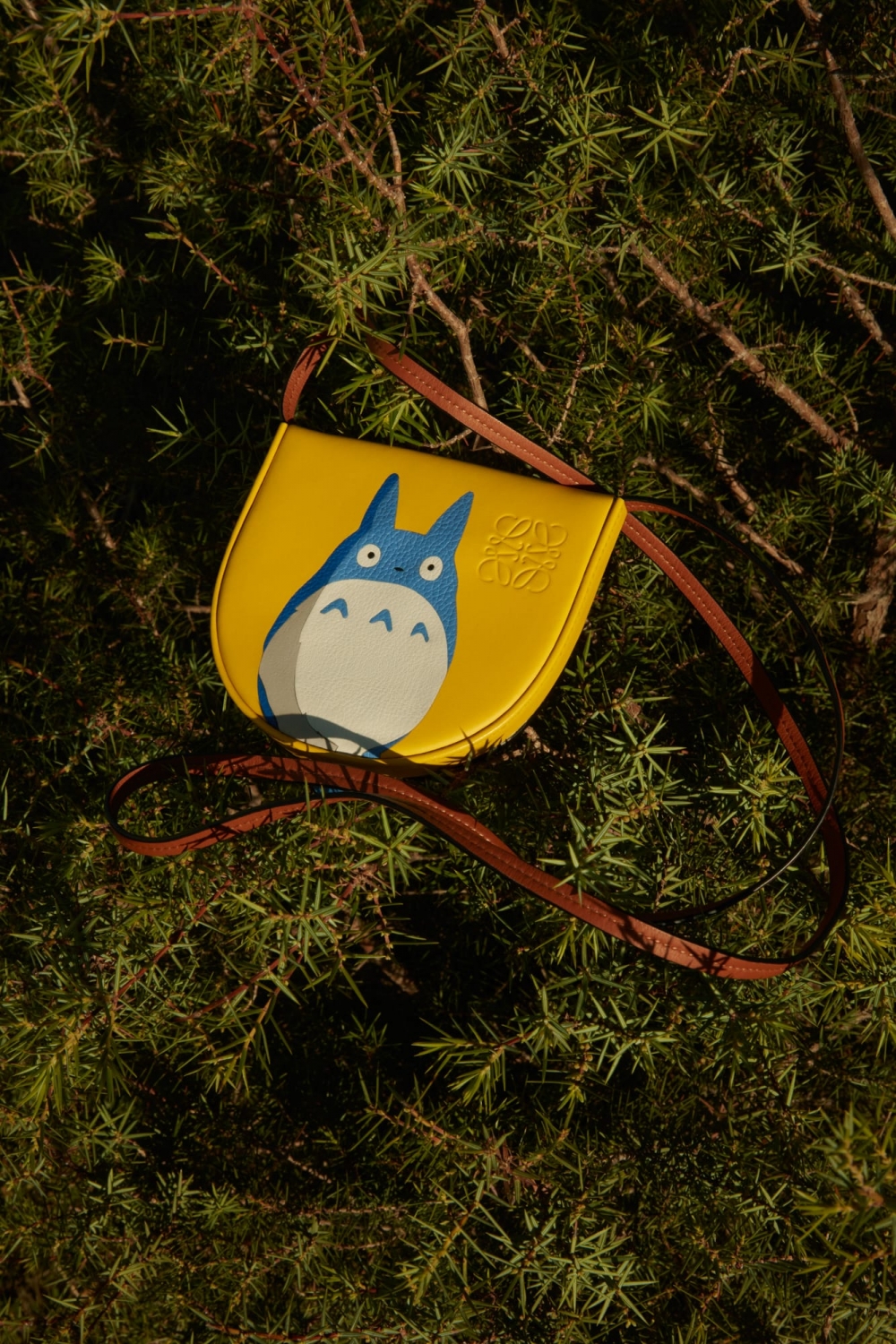 LOEWE x My Neighbor Totoro