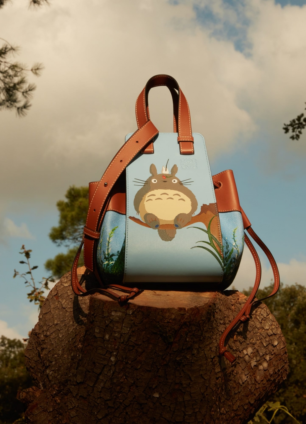 LOEWE x My Neighbor Totoro