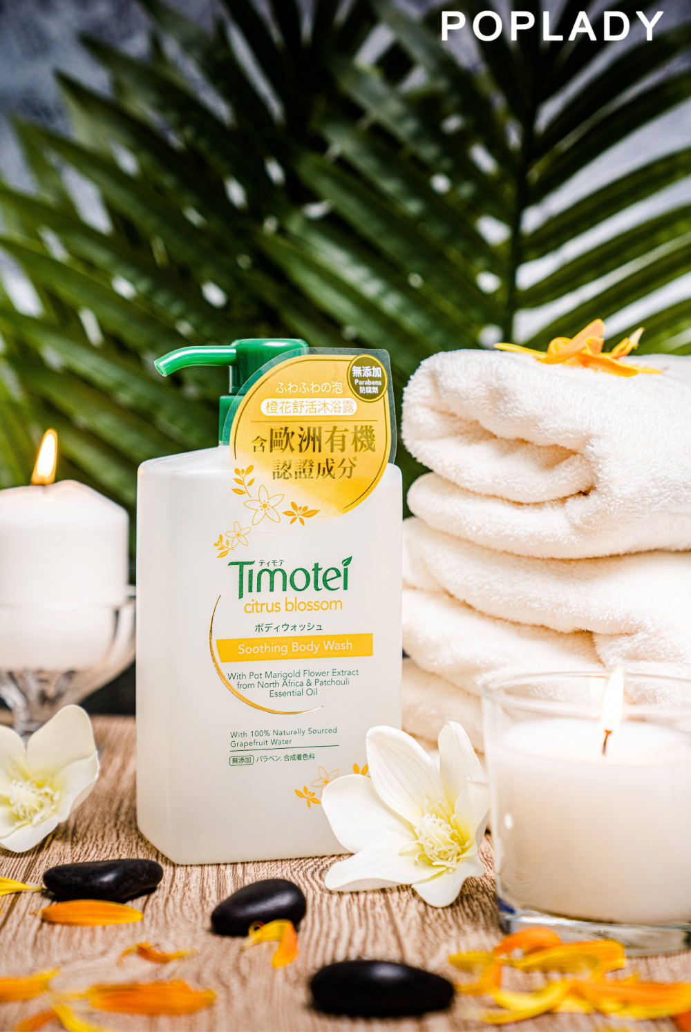 Timotei 3
