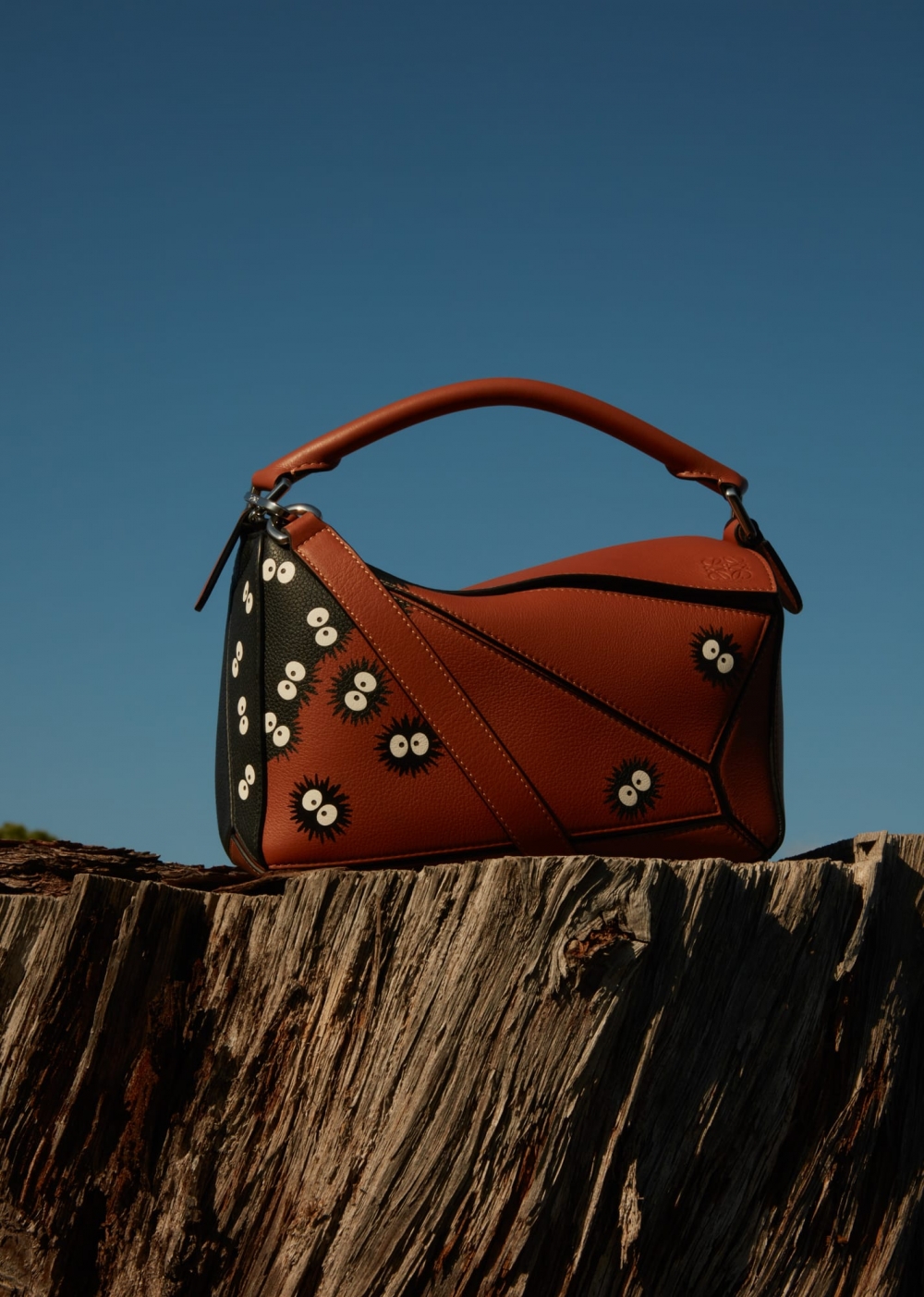 LOEWE x My Neighbor Totoro