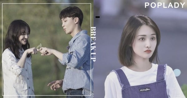 鄭爽棄養事件看「體面的分手」重要性:為何曾經愛過卻不能好聚好散