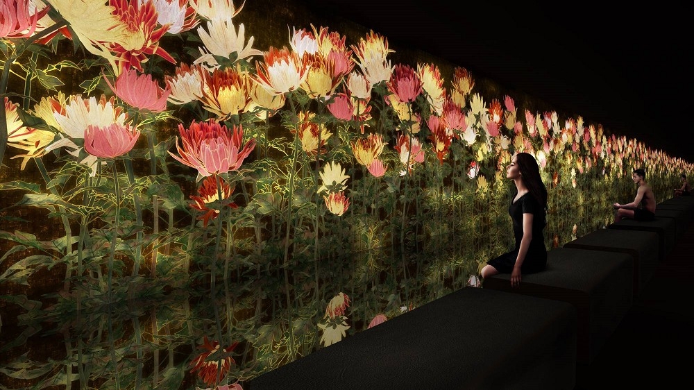 teamLab