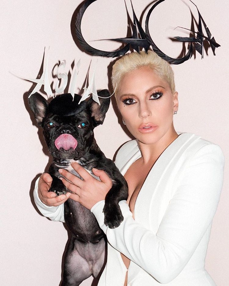@ladygaga Instagram