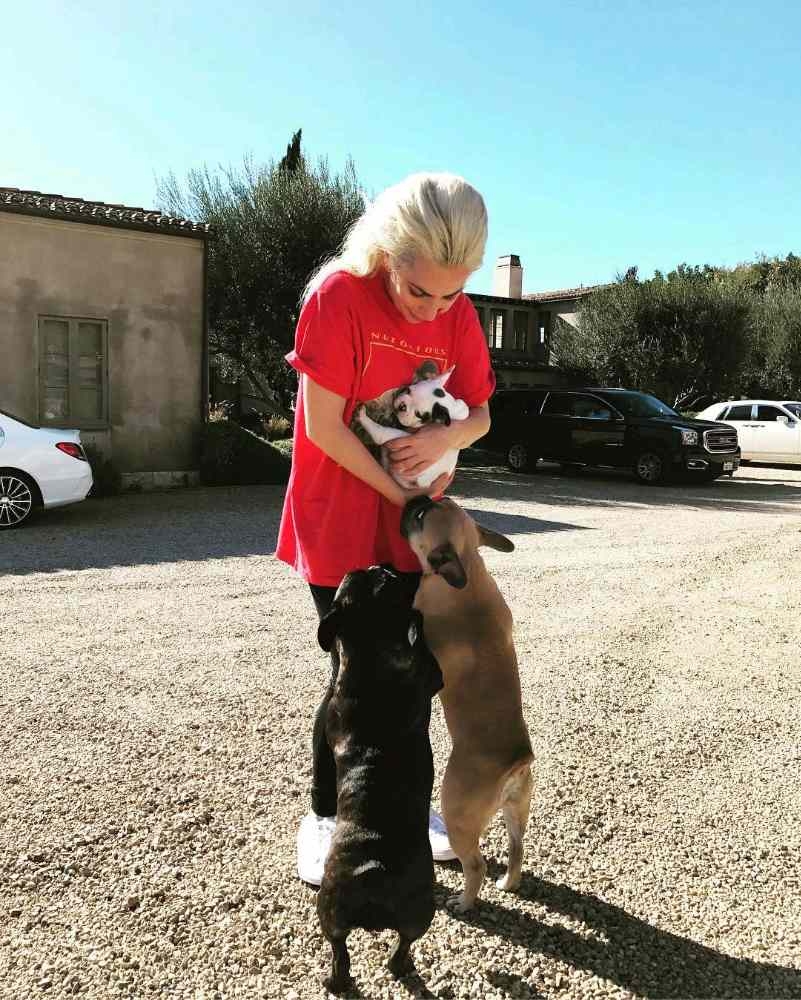 @ladygaga Instagram