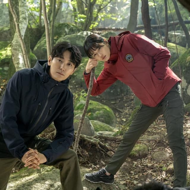 tvN