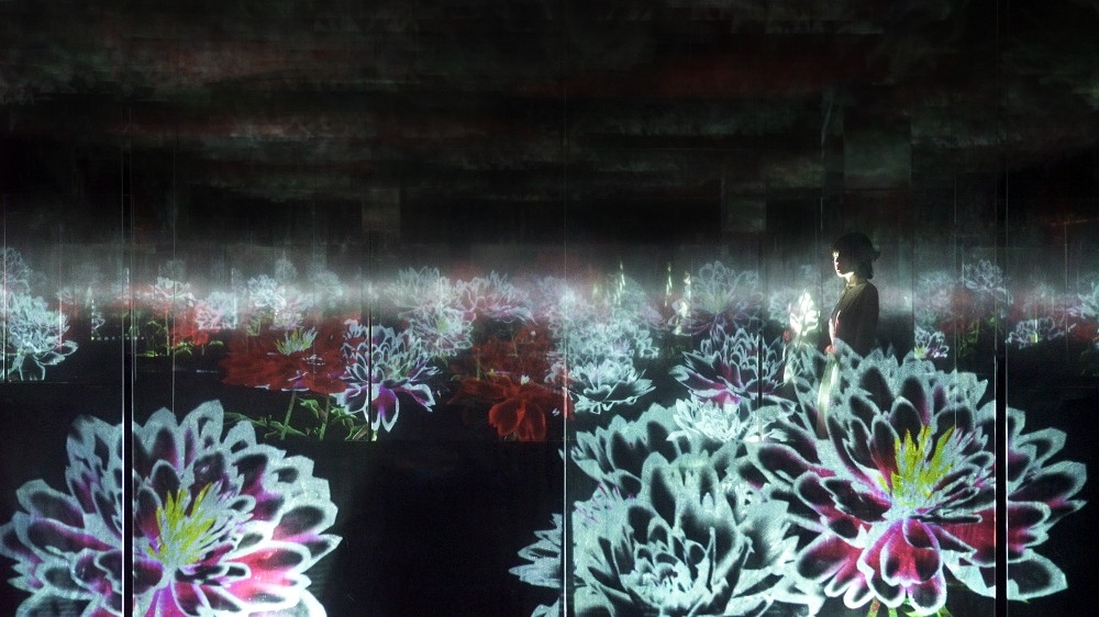 teamlab
