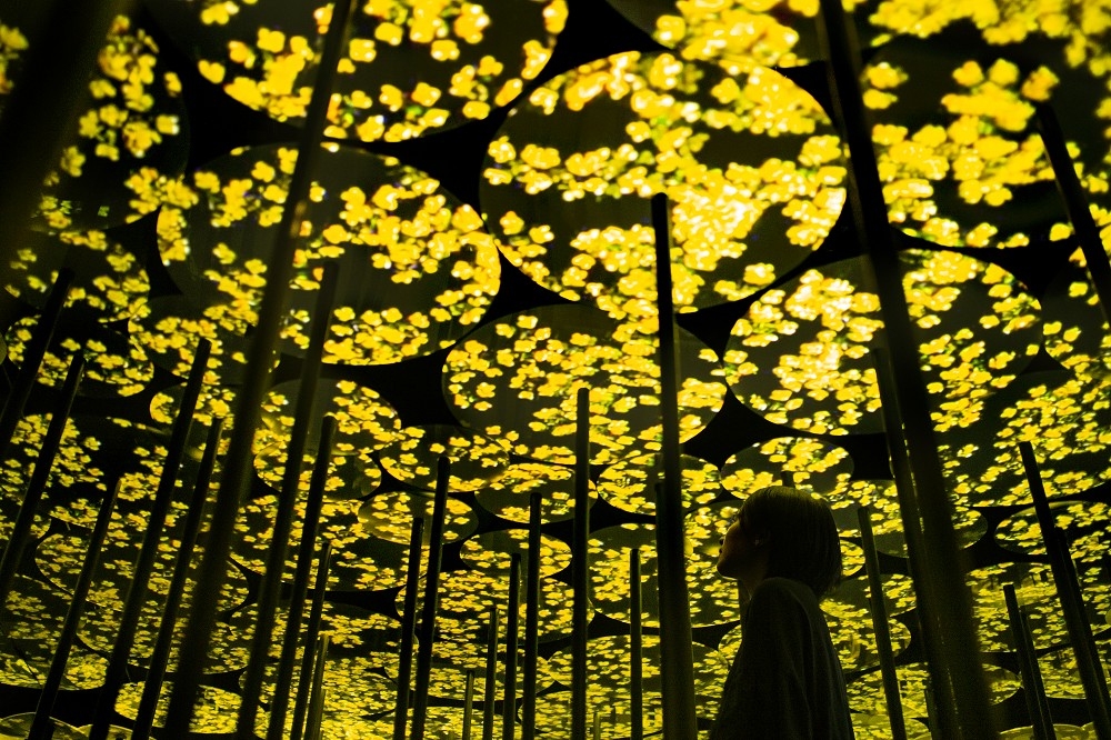 teamlab
