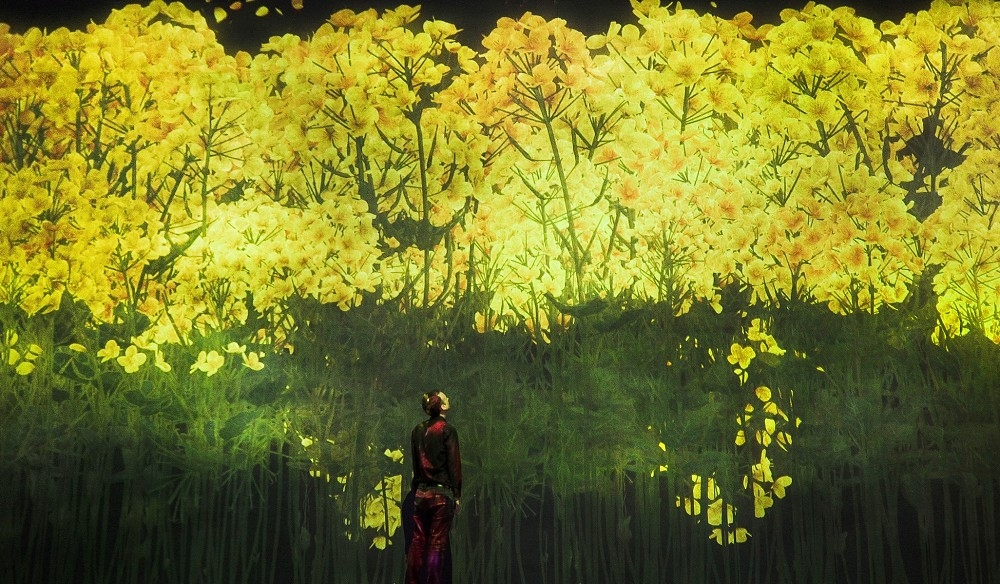 teamlab
