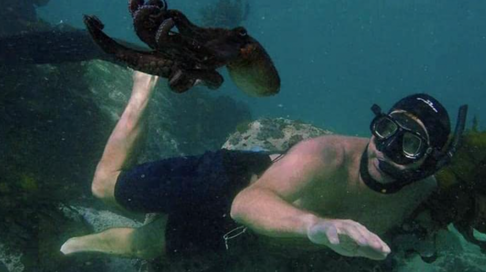 你也能有這樣的勇氣嗎？