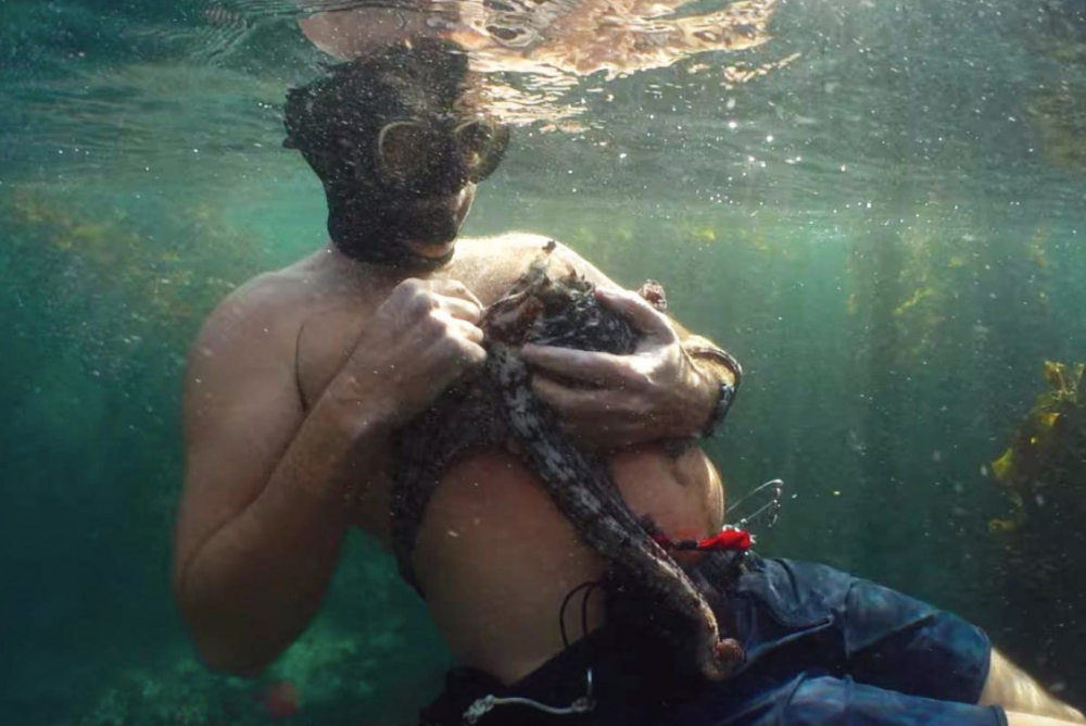 你也能有這樣的勇氣嗎？