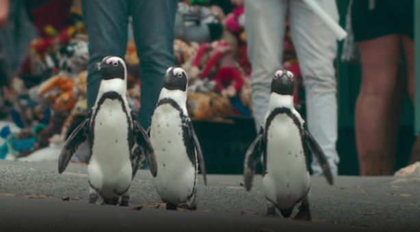 你也能有這樣的勇氣嗎？