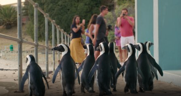 你也能有這樣的勇氣嗎？