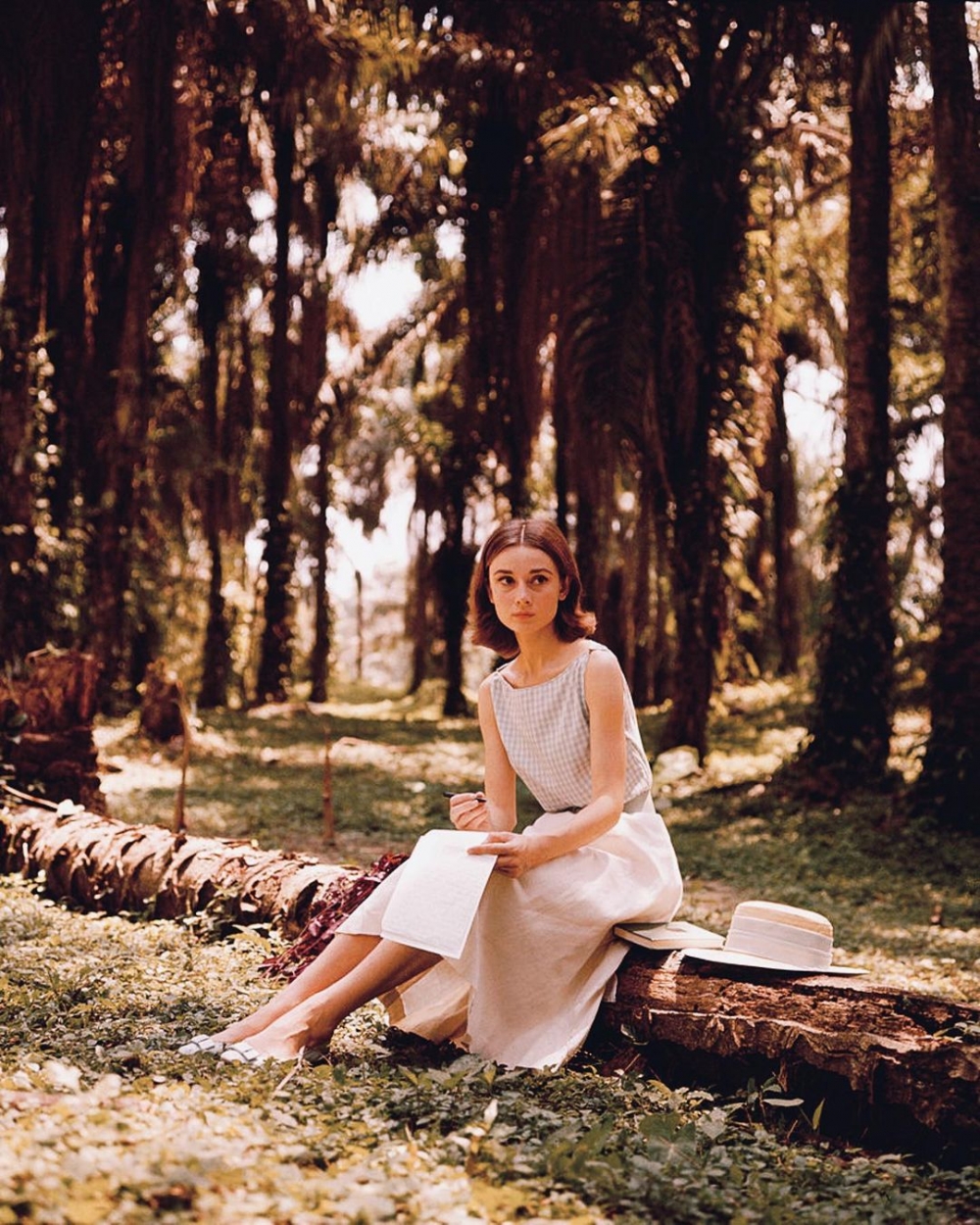 永遠的女神Audrey Hepburn