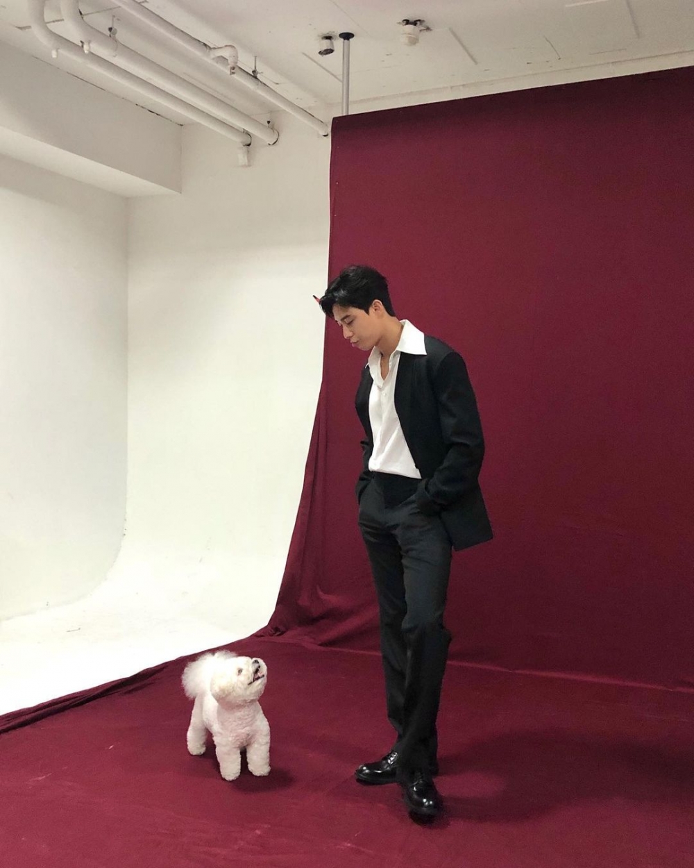 與辛巴在攝影棚的朴敘俊