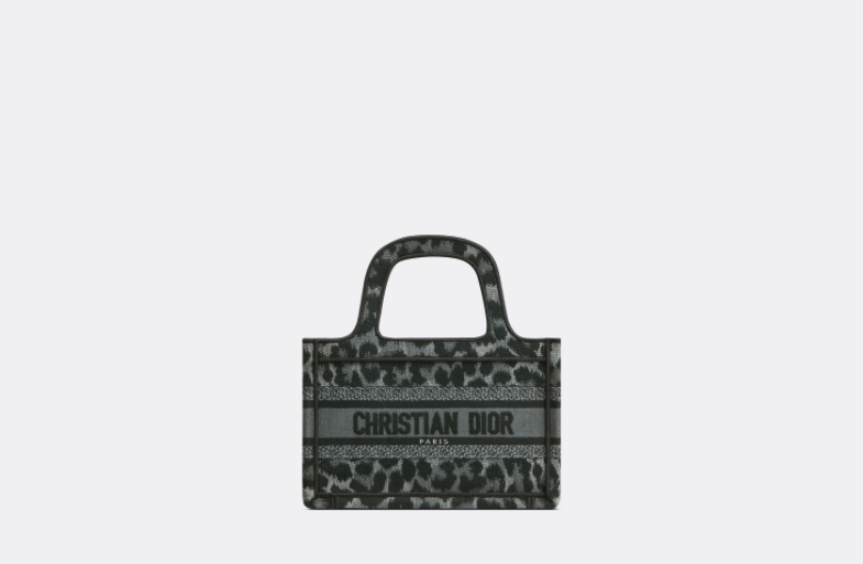 Dior Mini Dior Book Tote