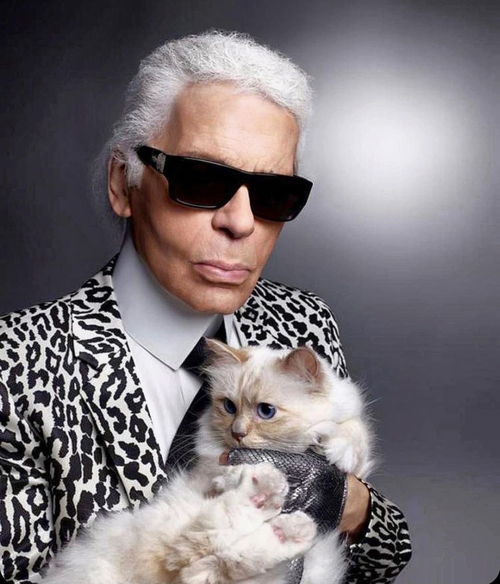 Choupette Lagerfeld是他生前最喜愛的貓咪,生活中都有它的陪伴。