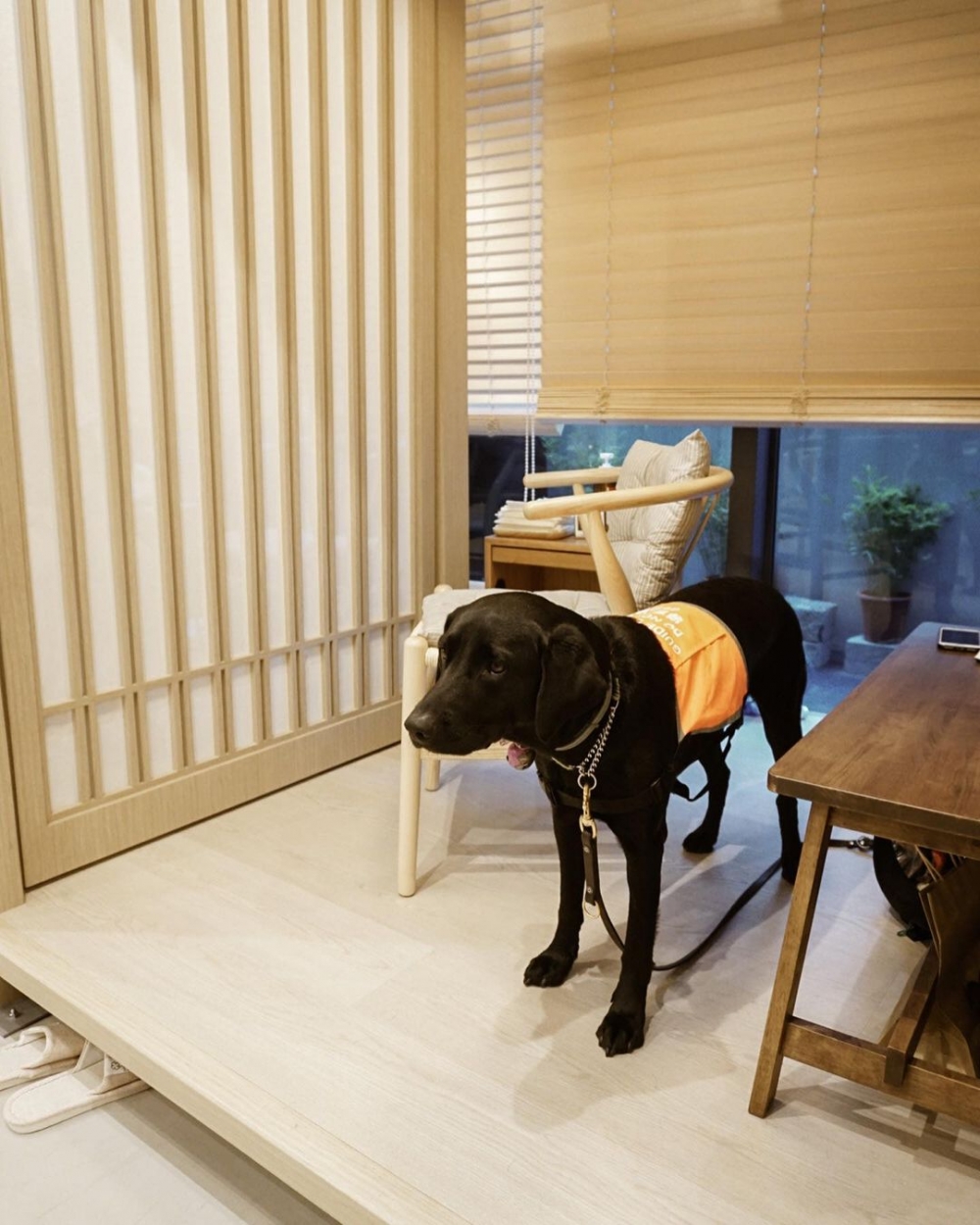 更重視照顧視障的成長，每一個環節都是滿滿的用心與堅持。