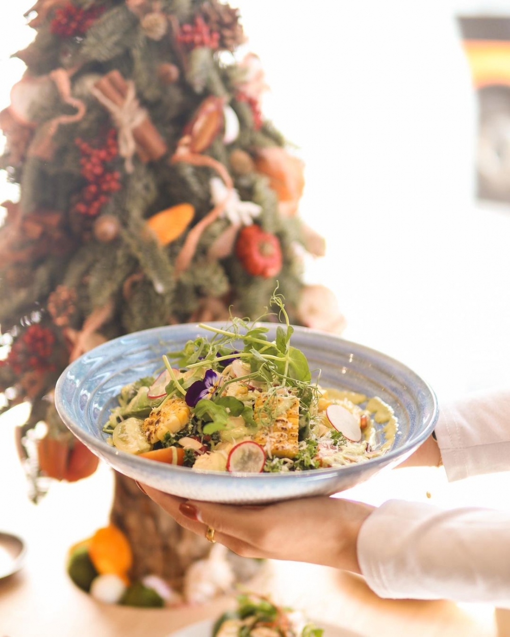 店內的菜餚看起來都是色香味俱全。