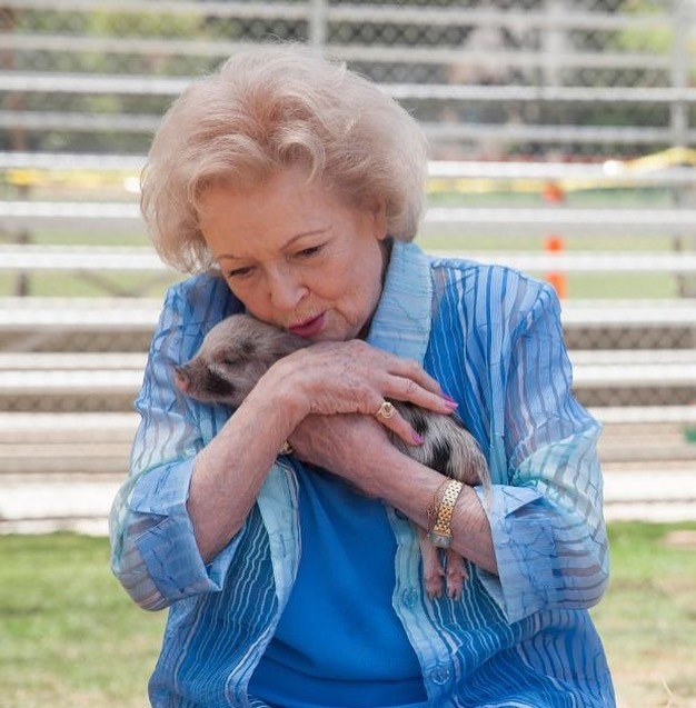 充滿愛心的Betty White,在決定演戲前她夢想成為動物園管理員。