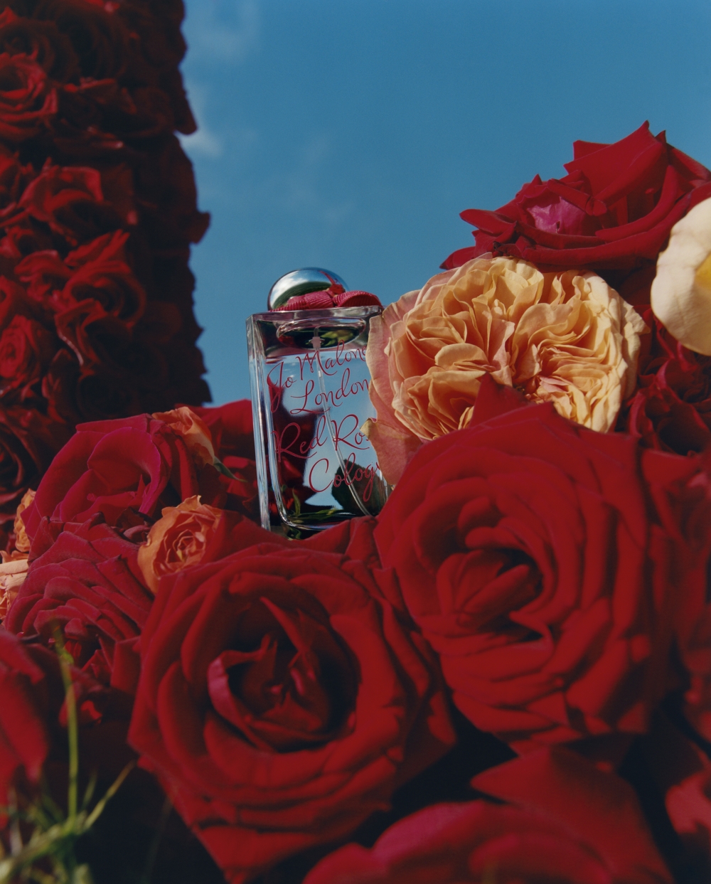 Red Roses限量版紅玫瑰古龍水 100ml $1,300