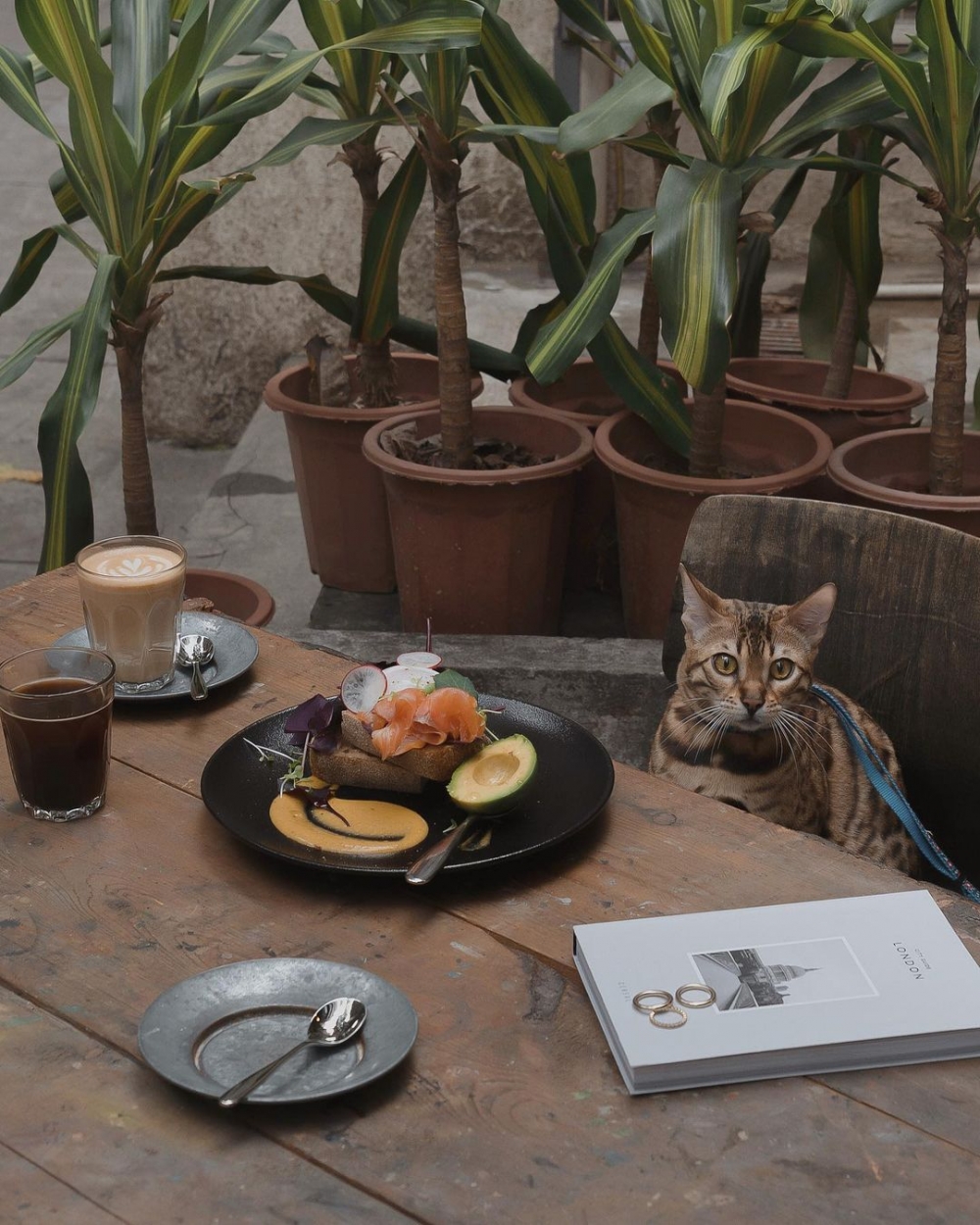 給予自己一份寧靜的空間,喚醒對生活愜意的遐想。