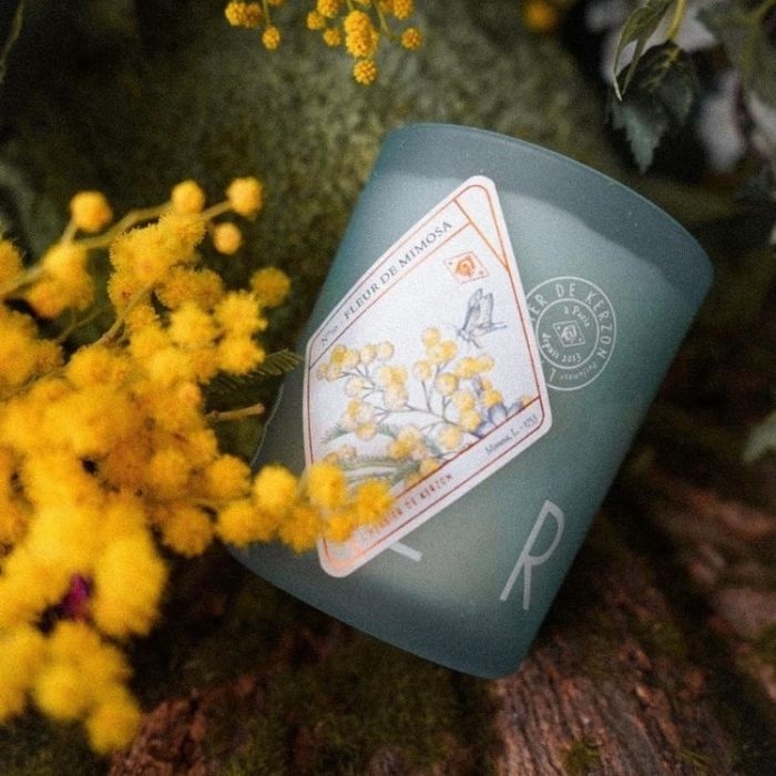 Kerzon植物莊園系列 — 含羞草 Fleur de Mimosa香氛蠟燭