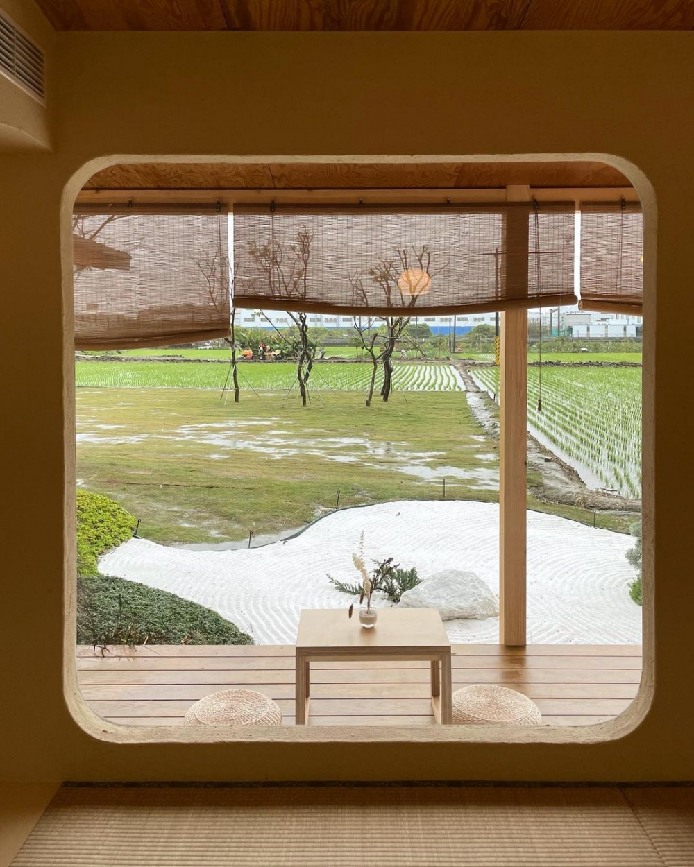 從咖啡廳的窗戶往外看，畫面宛如一幅畫作。