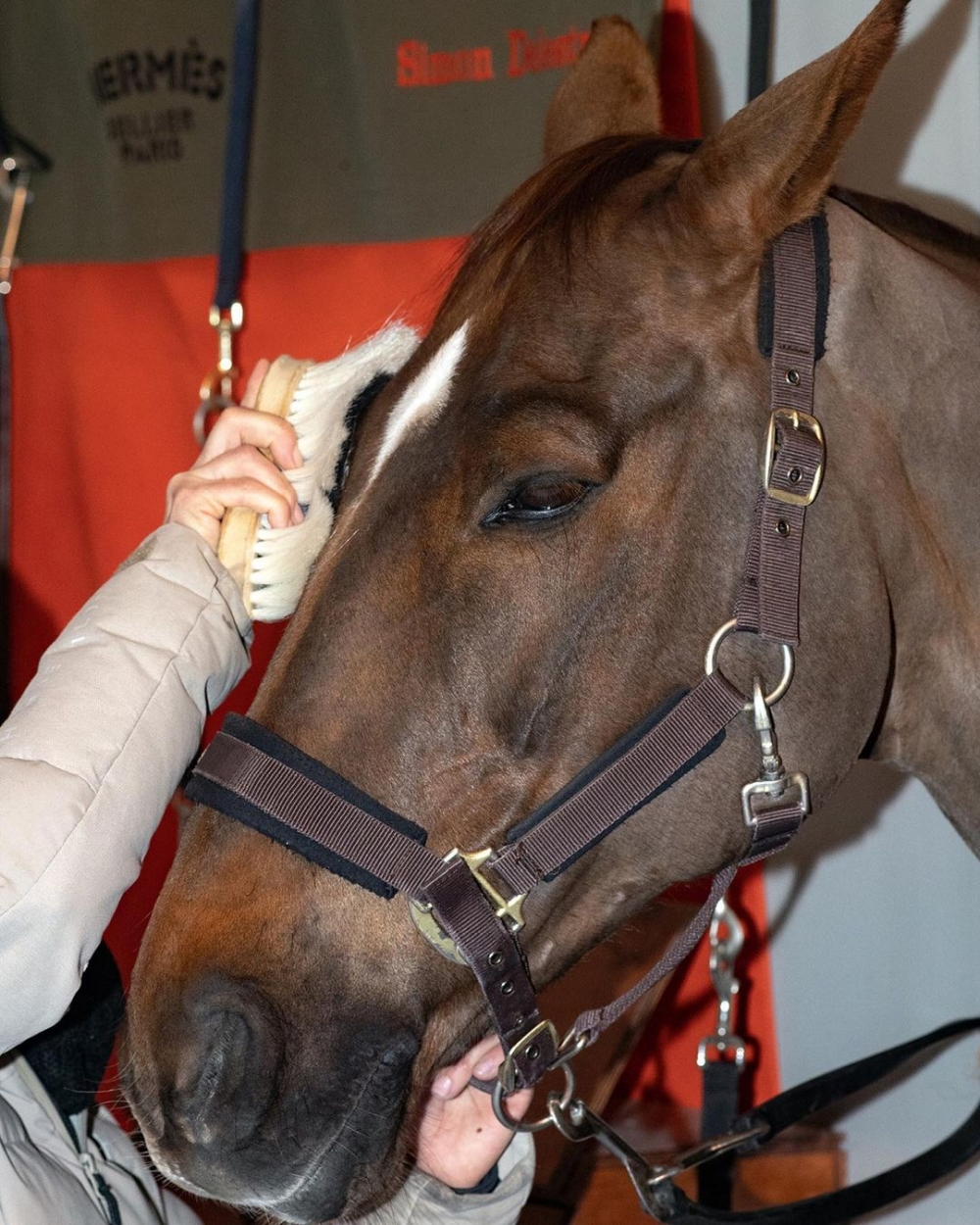 Hermès一年一度舉辦的馬術賽事Saut Hermès。