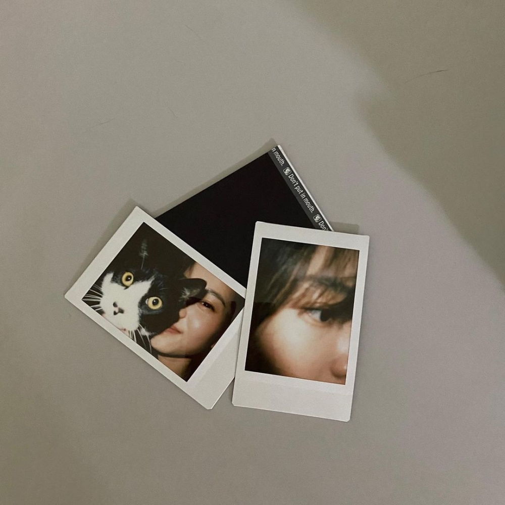 有收養兩隻貓咪的她,對於貓咪相當疼愛。