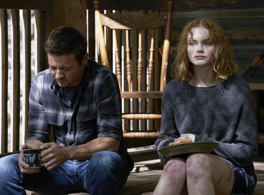 在影集《Mayor of Kingstown》中Iris一角而獲得名聲。