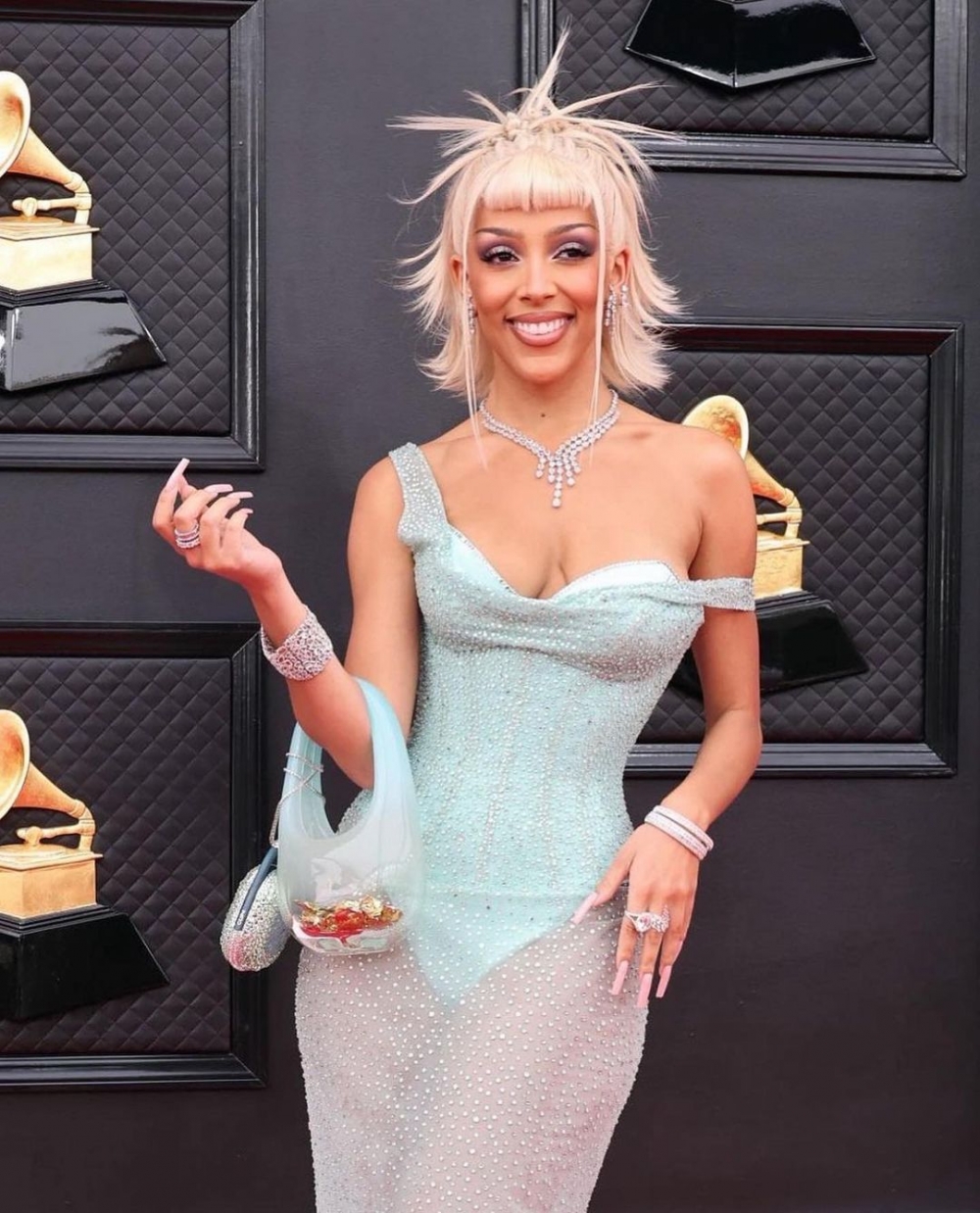 歌手Doja Cat在紅毯上也選擇這款手袋當作搭配。