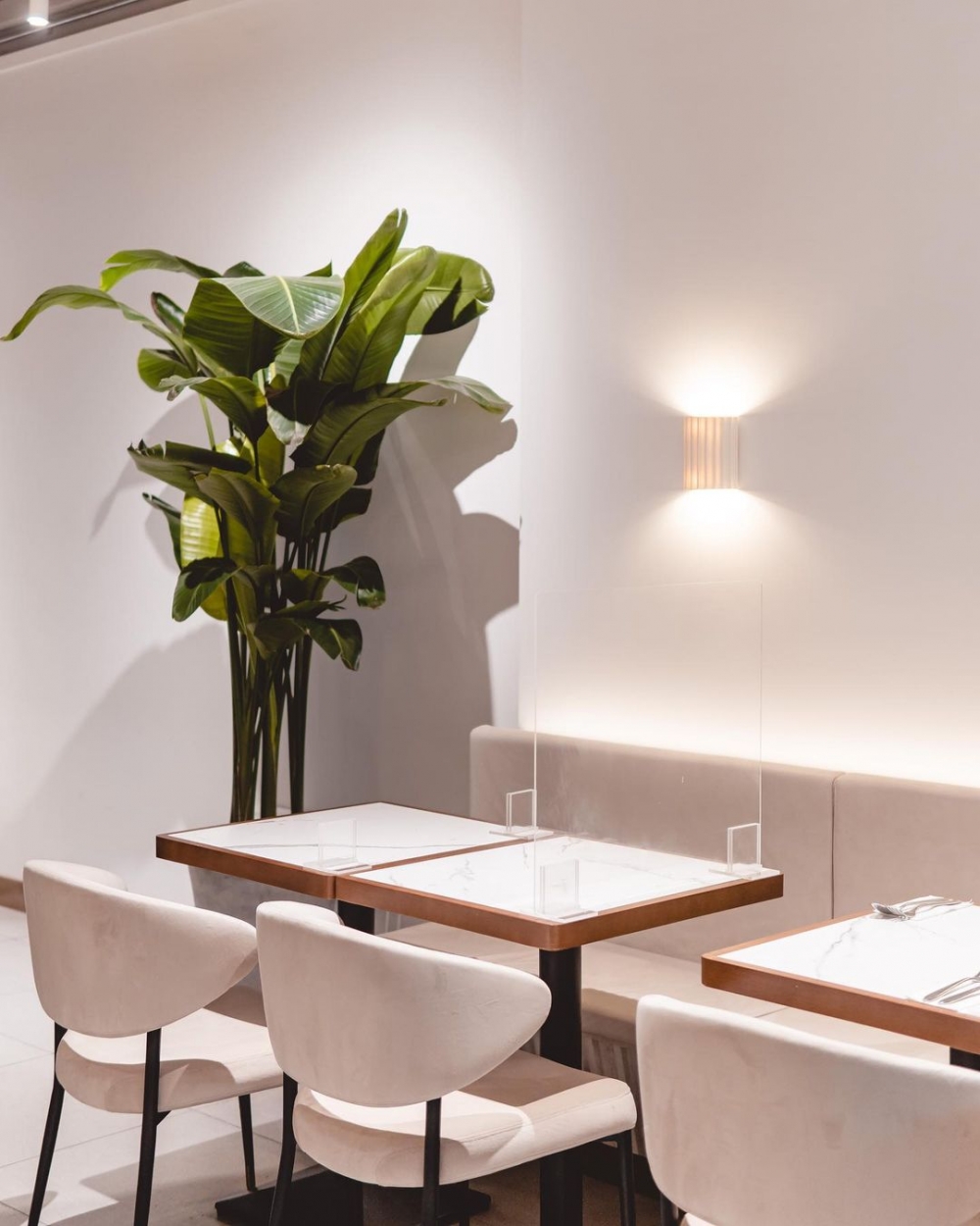 整體白色乾淨的空間奠定出基調。