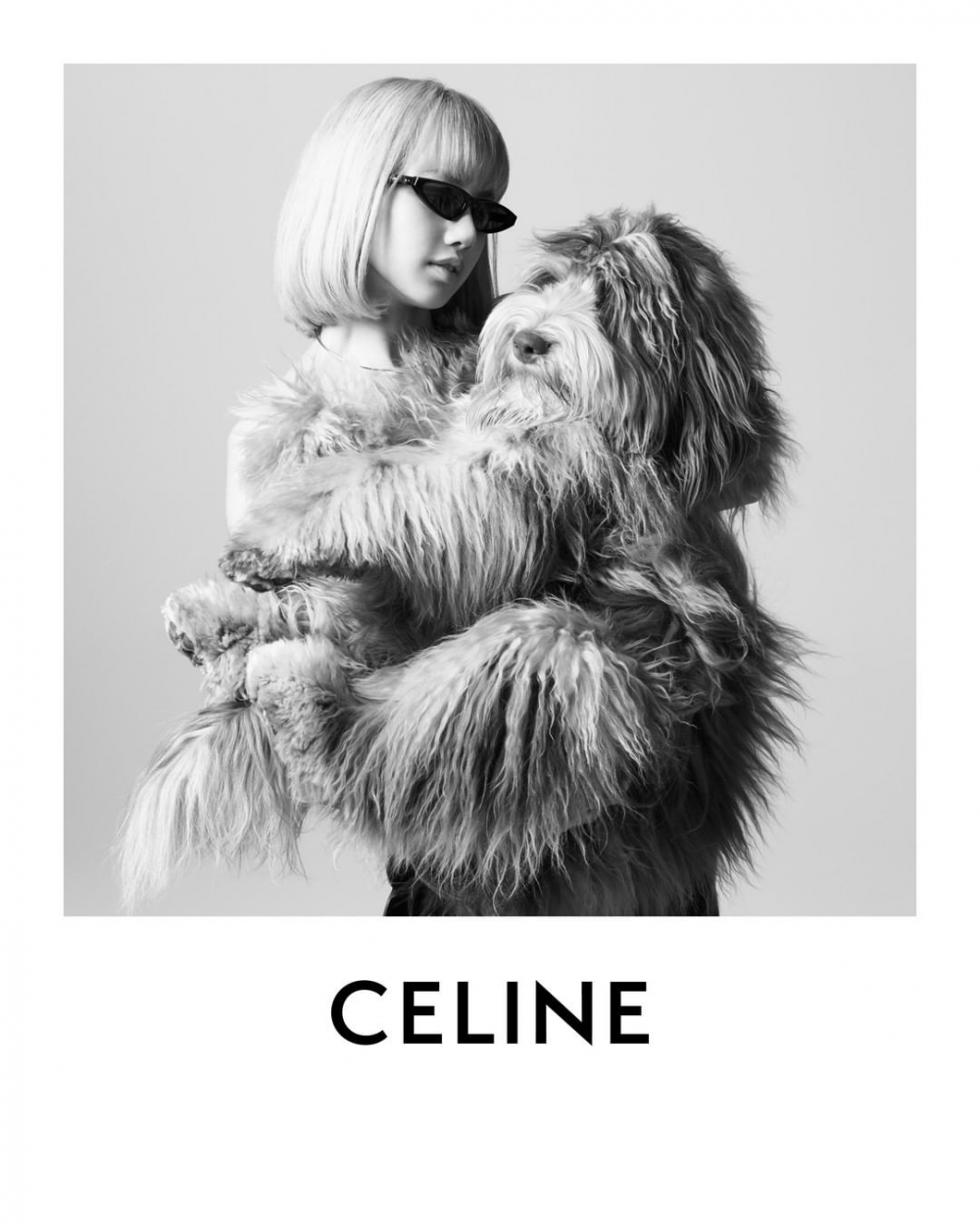 全新形象片Portrait of a CELINE Dog。