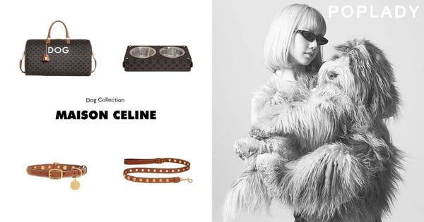 Hedi Slimane愛犬擔任模特兒：Maison CELINE全新推出奢華寵物系列，與主人一起時髦出門