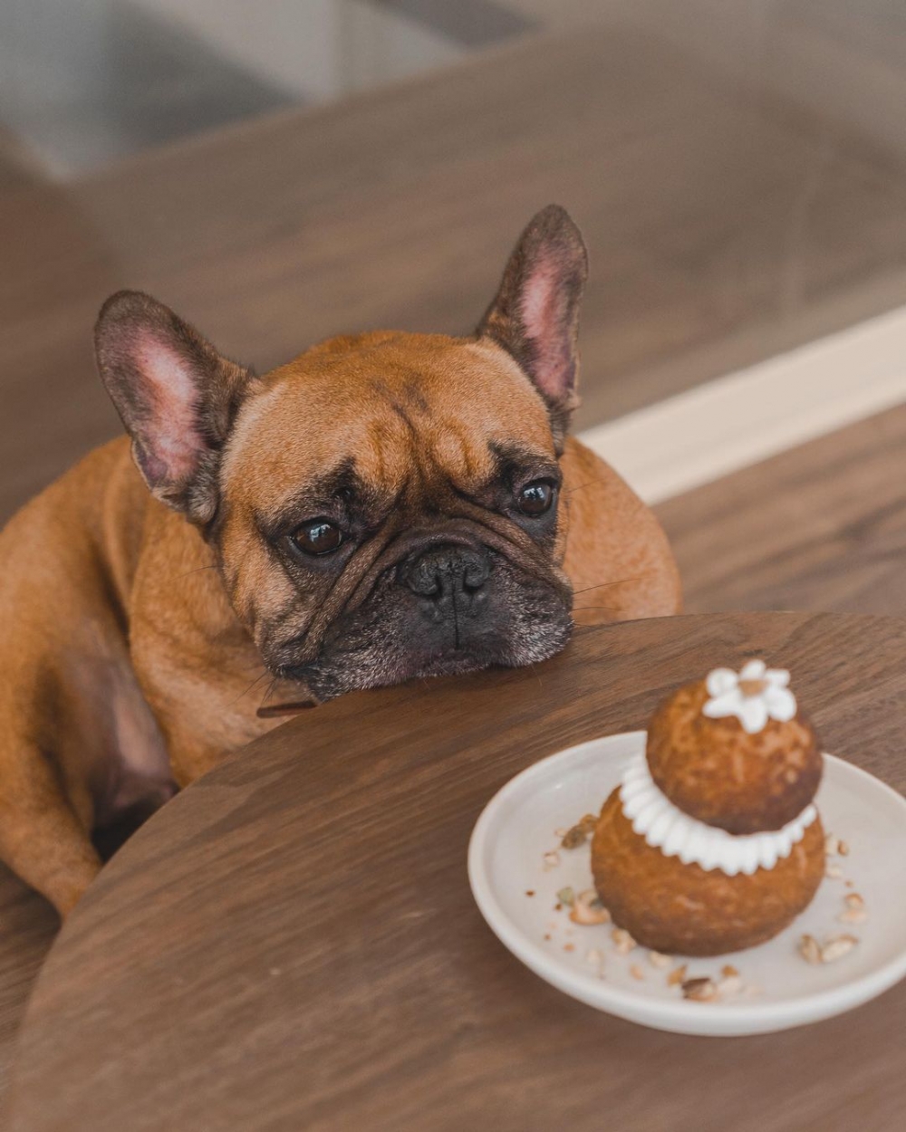 開心果修女泡芙