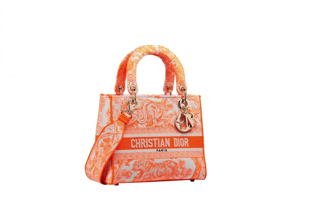 Dior Medium Lady D-Lite Bag